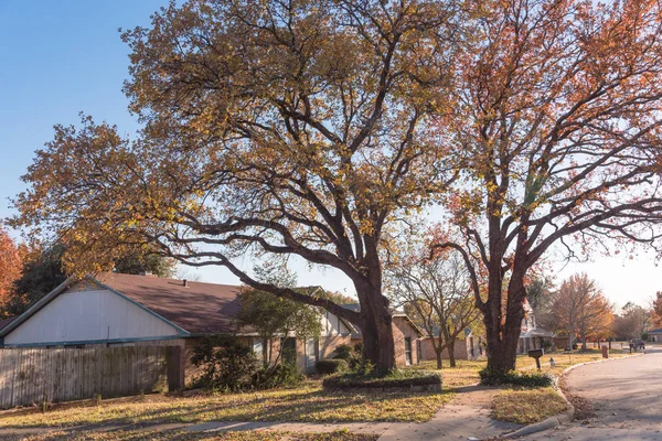Bonito Cómodo Barrio Residencial Flower Mound Texas Estados Unidos Temporada — Foto de Stock