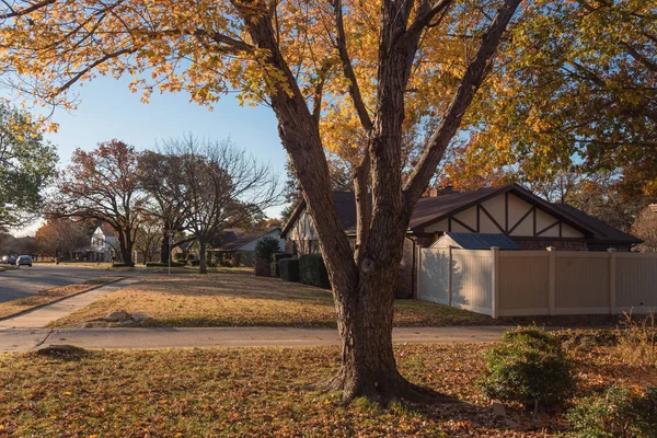 Una Acera Bastante Colorida Zona Residencial Flower Mound Texas Estados — Foto de Stock