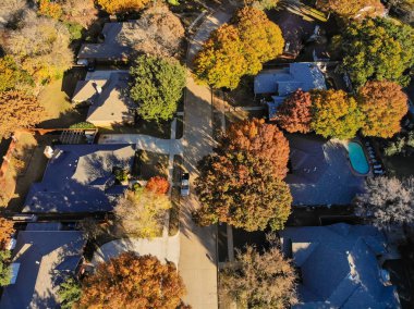 Üstten görünüm lüks mahalle lüks ev ve yüzme havuzları surround renkli sonbahar yaprakları çiçek Höyük, Texas, ABD tarafından