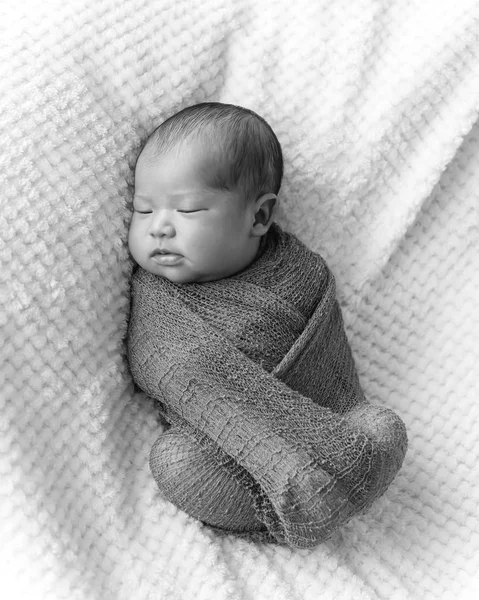 Sleeping Newborn Asian Baby Boy Swaddled Purple Knitted Mohair Wrap — Stock Photo, Image