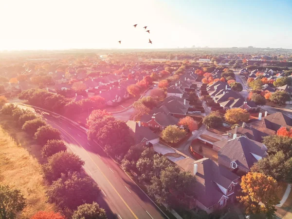 Top View Residential Area Urban Park Pathway Colorful Trees Autumn — Stock Photo, Image