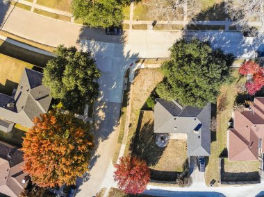 Havadan görünümü semtte ile renkli yeşillik banliyö Dallas, Texas, ABD düşmek. Düz aşağı bakmak gibi stil uydu.