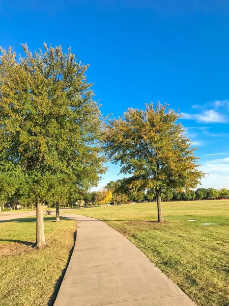 Parque urbano con sendero de hormigón y césped verde al atardecer — Foto de Stock