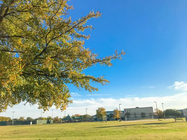 Městský park s konkrétní stopu a zelené trávě trávníku při západu slunce — Stock fotografie