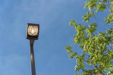 Elektrik kavramı israf için gündüz parlak aydınlatma ile sokak sokak lâmbası direği