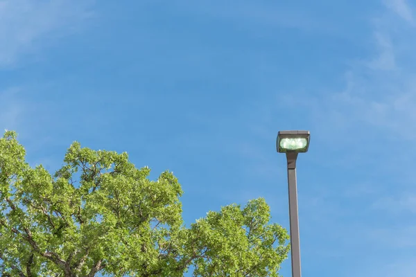 Fényes utcai lmpaoszlop a daytime a villamosenergia-pazarlás koncepció — Stock Fotó