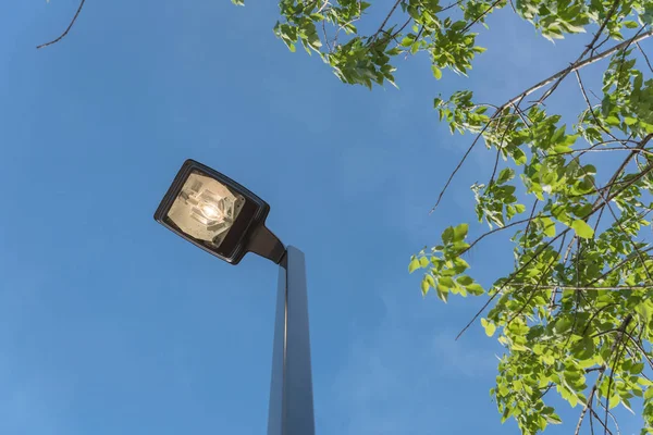 Utcai lámpahegy, fényes világítással a daytime a villamos energia koncepció — Stock Fotó