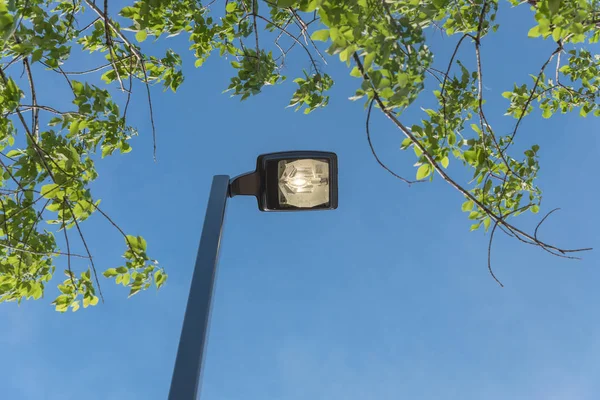 Уличный фонарный столб с ярким освещением в дневное время для расточительства концепции электроэнергии — стоковое фото