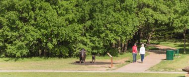 Panoramik mutlu bir bayan çift yürüyüş ve Doğa Parkı arka görünümünde konuşuyor