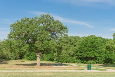 Teksas, Amerika'daki kamu doğa parkında piknik masaları