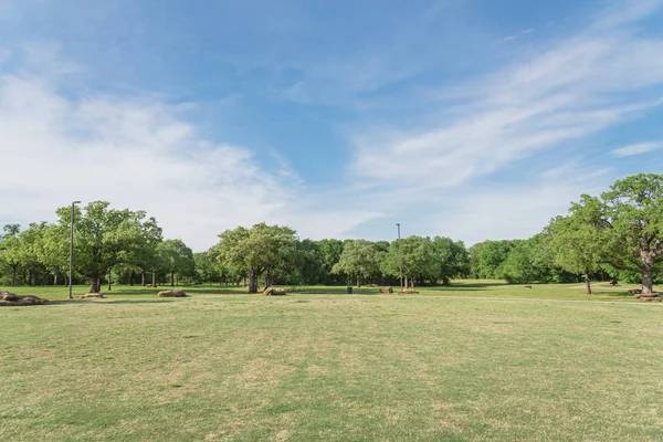 Natural urban park with grass lawn and tree lush in Texas, America — Stock Photo, Image