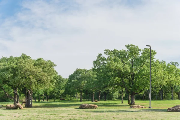 Parco urbano naturale con prato erboso e alberi rigogliosi in Texas, America — Foto Stock