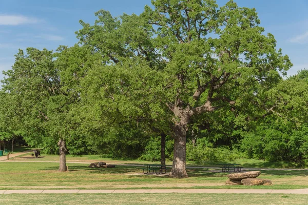 Piknikové stoly na veřejném přírodním parku v Texasu, v Americe — Stock fotografie