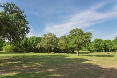 Texas, Amerika'da çim çim ve ağaç yemyeşil ile Doğal kentsel park