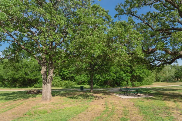 Mesas de piquenique no parque natural público no Texas, América — Fotografia de Stock