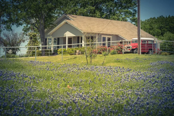 Imagen filtrada flor de Bluebonnet colorido en la granja en el norte de Texas, América — Foto de Stock