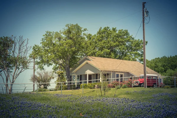 Imagen filtrada flor de Bluebonnet colorido en la granja en el norte de Texas, América — Foto de Stock