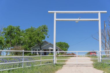Kır çiçeği Bluebonnet çiçeklenme ile Texas Doğal çiftlik manzara