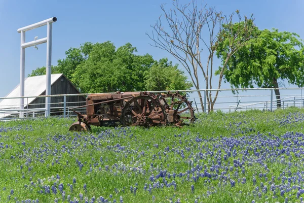 Paisaje de rancho escénico en Texas con flores silvestres Bluebonnet floreciendo — Foto de Stock