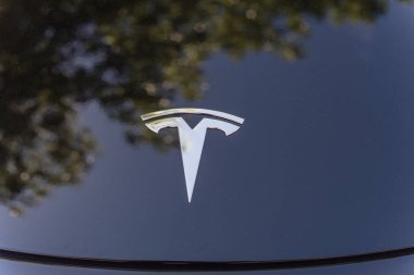 Tesla logolu siyah araba kaput kapağı yakın çekim