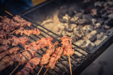 Izgara raflarında iyi pişmiş domuz Barbekü şişler yakın çekim