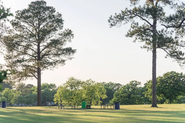 在美国日落时分，在美丽的公园里，空空的金属野餐桌，有很多树木 — 图库照片