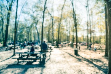 Filtrelenmiş görüntü bulanık orman kamp ateşi ve insanlar Texas, ABD kış aylarında hangout