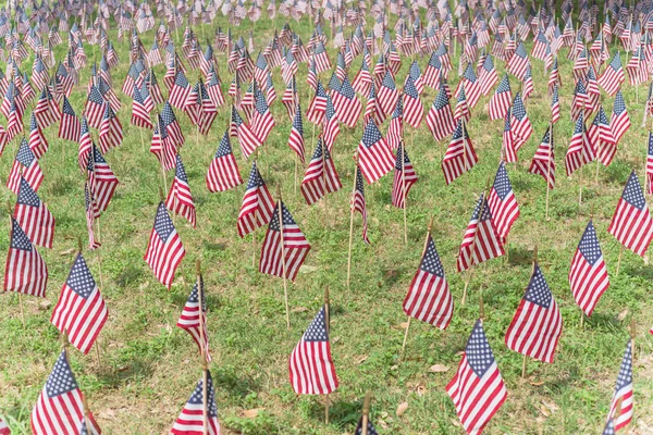 American flags in a green field commemorating a national holiday in USA