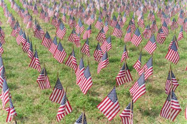 ABD'de ulusal bayram anısına yeşil alanda Amerikan bayrakları