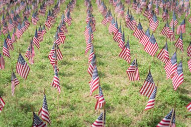 ABD'de ulusal bayram anısına yeşil alanda Amerikan bayrakları
