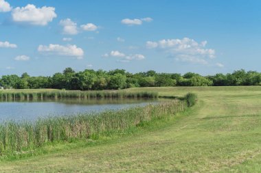Dallas, Teksas yakınlarında çiçek açan sazlıklar ve kır çiçekleri ile Hillside göl parkı