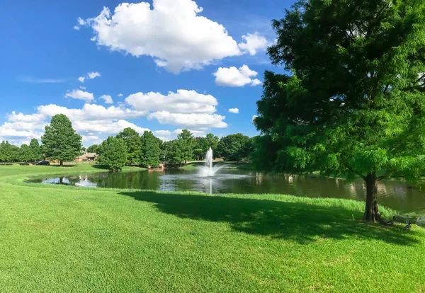 Ducks near pond and water fountain in small American neighborhood — Stock Photo, Image