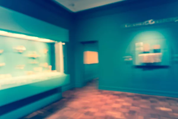 Suddig bakgrund Fine Art utställning på Museum i Texas, America — Stockfoto