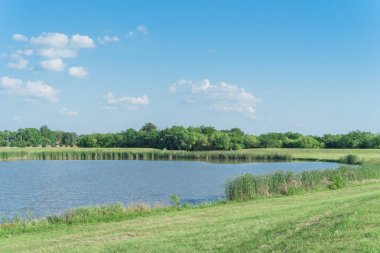 Dallas, Teksas yakınlarında çiçek açan sazlıklar ve kır çiçekleri ile Hillside göl parkı