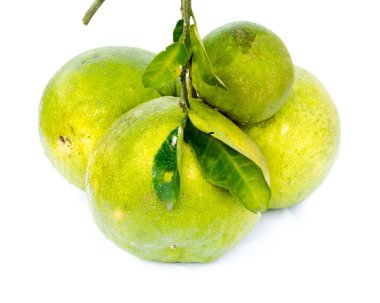 Yaprakları ile Asya pomelo greyfurt beyaz izole kök