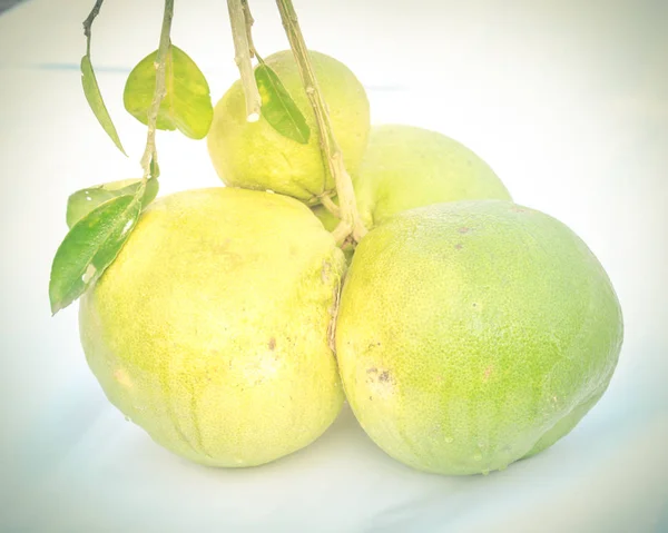 Фільтроване зображення азіатських помело грейпфрут з листям стебло ізольований на білому — стокове фото