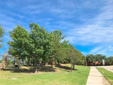 Dallas, Teksas yakınlarındaki yerleşim mahallede kaldırım ile Boş sokak
