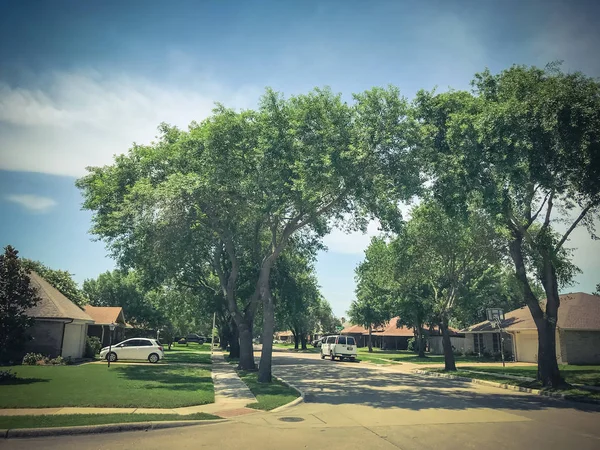 Muy barrio con árboles altos dosel, sendero y casas unifamiliares alineadas — Foto de Stock