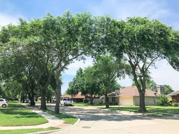 Muy barrio con árboles altos dosel, sendero y casas unifamiliares alineadas — Foto de Stock