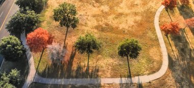 Dallas, Teksas yakınlarındaki renkli sonbahar yaprakları ile Panoramik üst görünümü kavisli yol