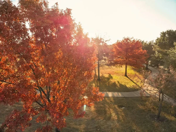 Nahaufnahme farbenfrohe Herbstbäume im Park mit geschwungenem Weg bei Dallas — Stockfoto