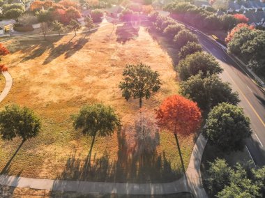 Dallas, Teksas yakınlarındaki park geçidi boyunca havadan görünümü renkli sonbahar yaprakları