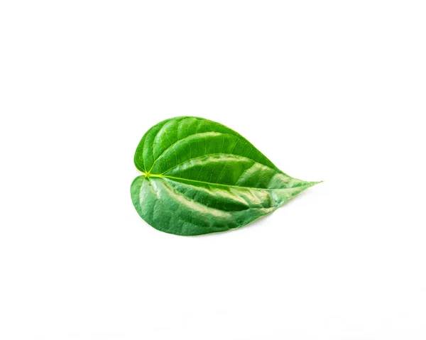 Close-up enkel RAW Betel blad of Paan geïsoleerd op wit — Stockfoto