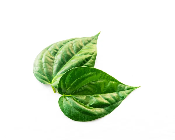 Φωτογραφία στούντιο κοντινό-up δύο ακατέργαστα φύλλα betel ή Πάαν απομονώνονται σε λευκό — Φωτογραφία Αρχείου