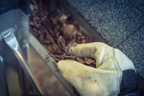 Mão vista superior em luvas na escada limpeza folhas secas da sarjeta na América — Fotografia de Stock