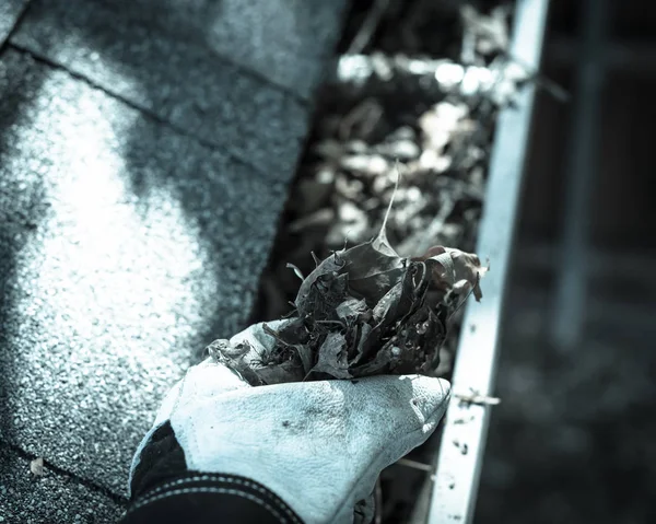 Close-up hand in gloves cleaning dry leaves from gutter in America — Stok Foto