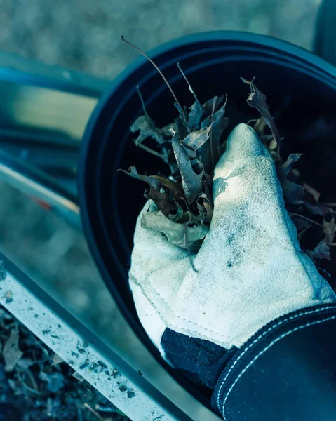 Filtered image close-up hand with gloves drop dried leaves and dirt into bucket from gutter cleaning — Stock Photo, Image