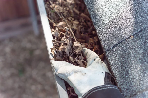 Hand in Hand in Handschuhen, um getrocknete Blätter aus der Regenrinne in Amerika zu reinigen — Stockfoto