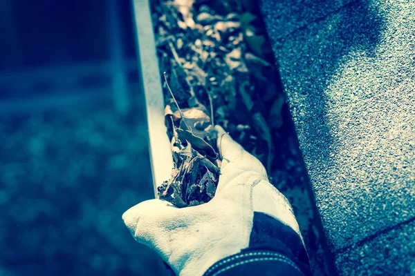 Imagen filtrada vista superior de la mano en guantes en escalera limpieza hojas secas de la alcantarilla en América —  Fotos de Stock