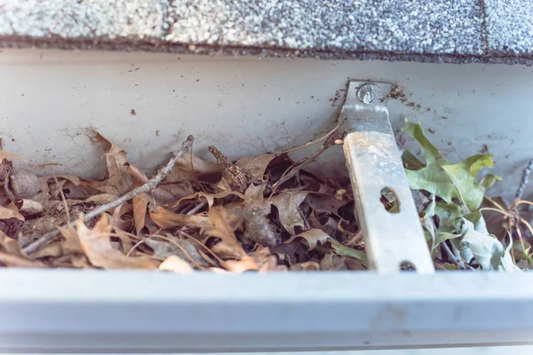 Close-up gutter clogged by dried leaves and messy dirt need clean-up — Stock Photo, Image